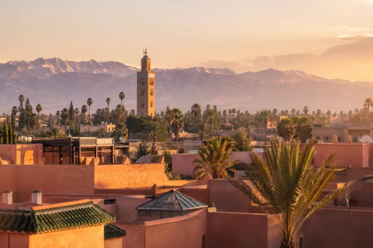 Cameron Immobilier Marrakech : une nouvelle référence pour l’immobilier à Marrakech